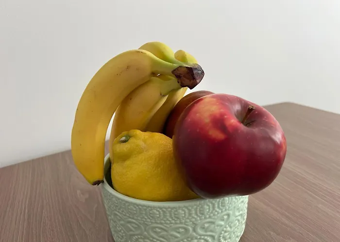 Dingi 102 * 希欧福克