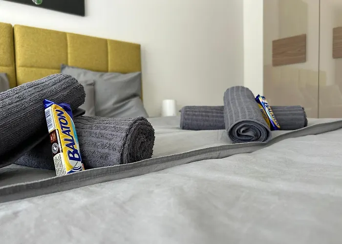 Dingi 102 希欧福克